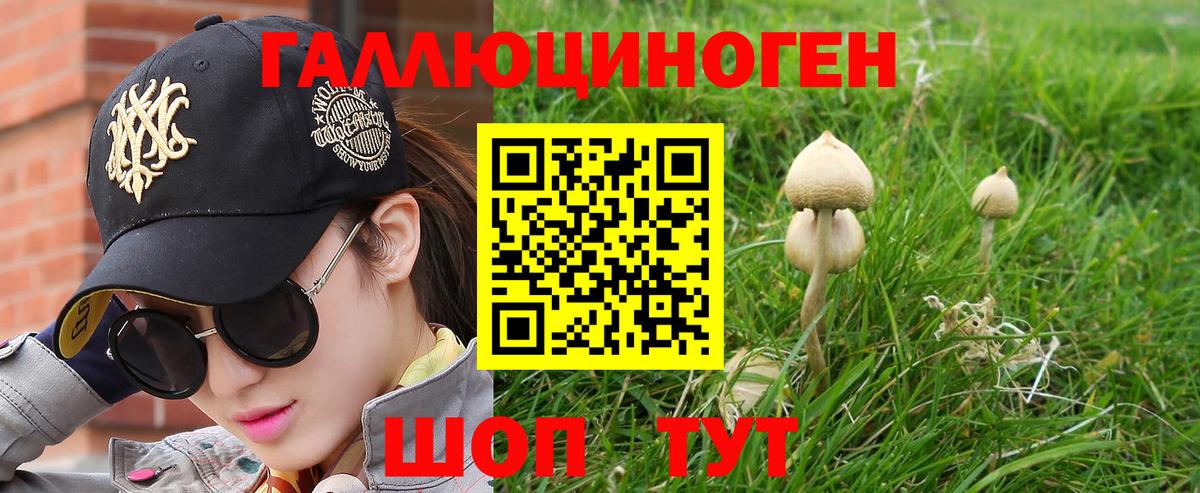 Камышин  Псилоцибиновые грибы мицелий  Вход с VPN 