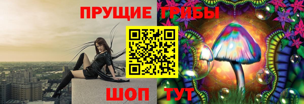 Псилоцибиновые грибы Cubensis Камышин