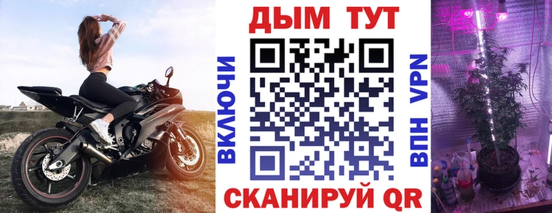 Конопля сатива  Камышин 