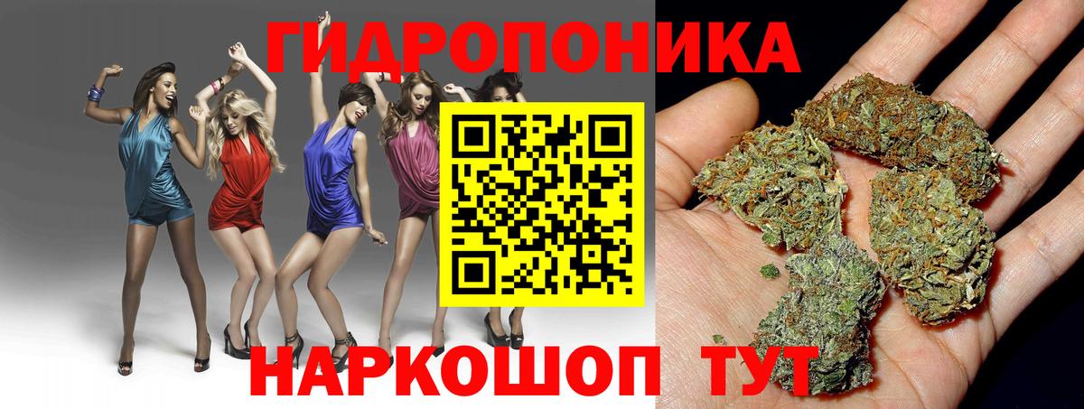 Шишки марихуана планчик Камышин